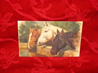 Nostalginen kortti-hevoset